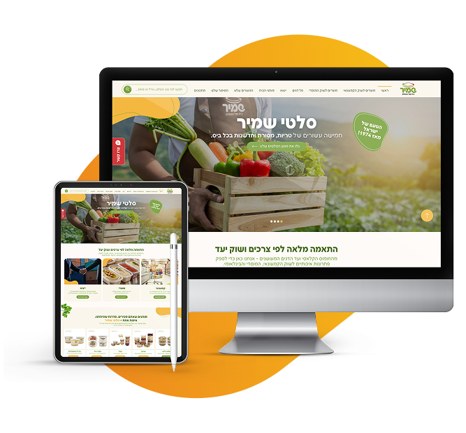 סלטי שמיר - הדמיה